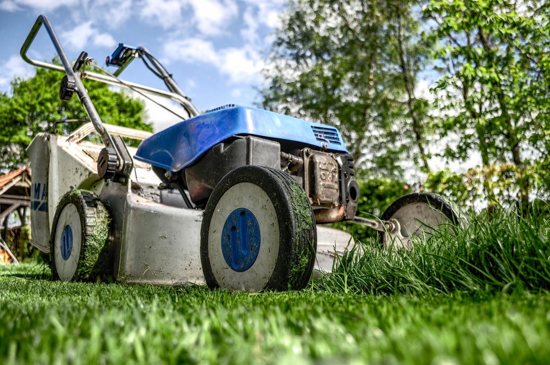lawn care Chattanooga Chattanooga TN Lawn Care Company